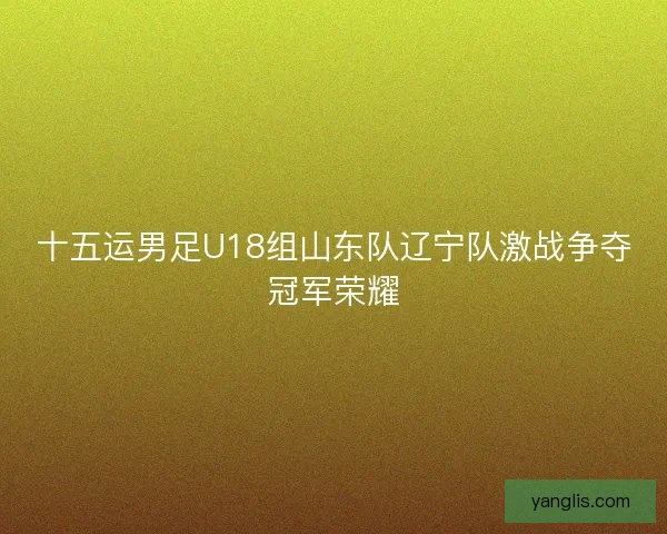 十五运男足U18组山东队辽宁队激战争夺冠军荣耀